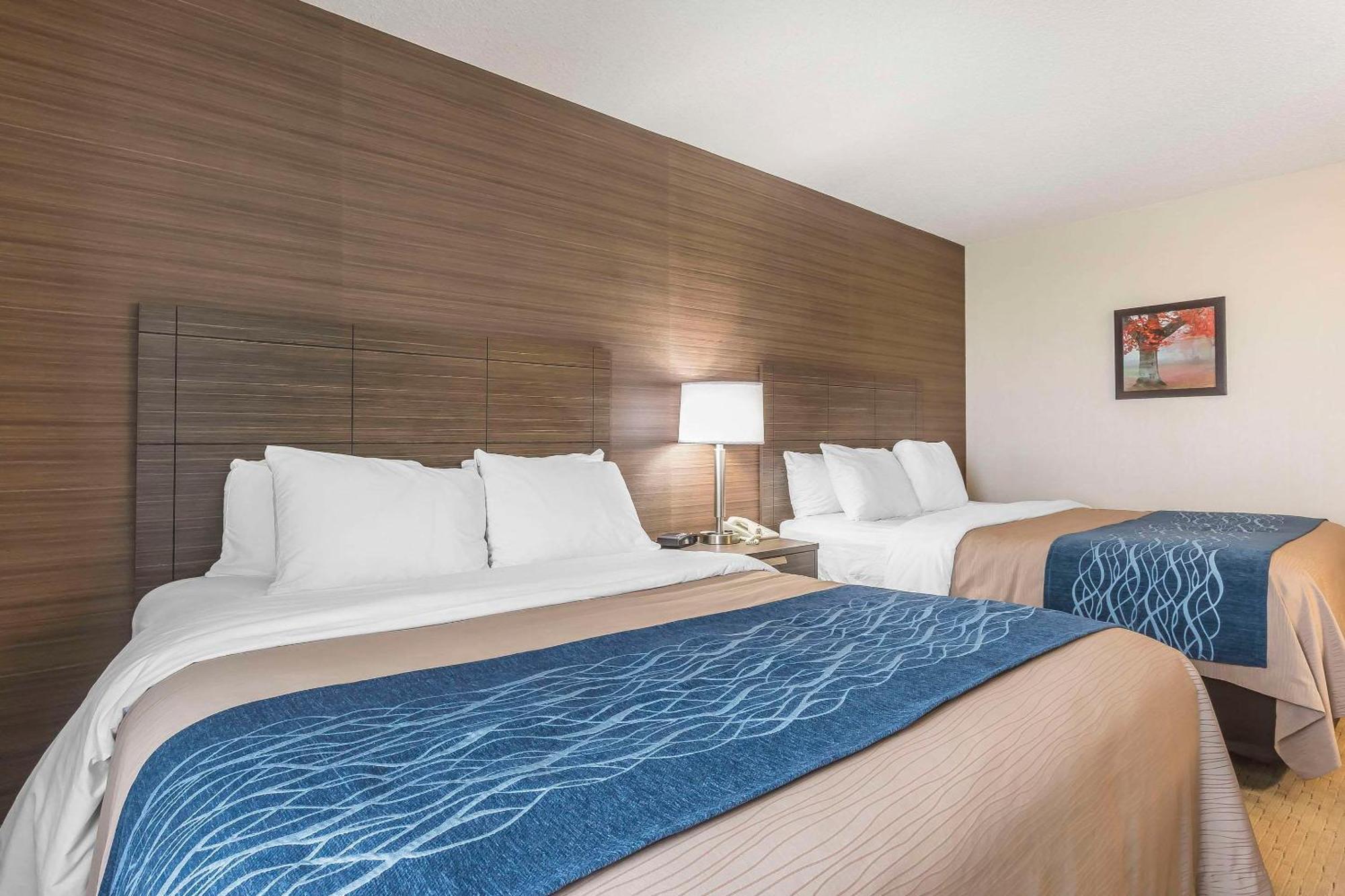 Comfort Inn Леві Екстер'єр фото