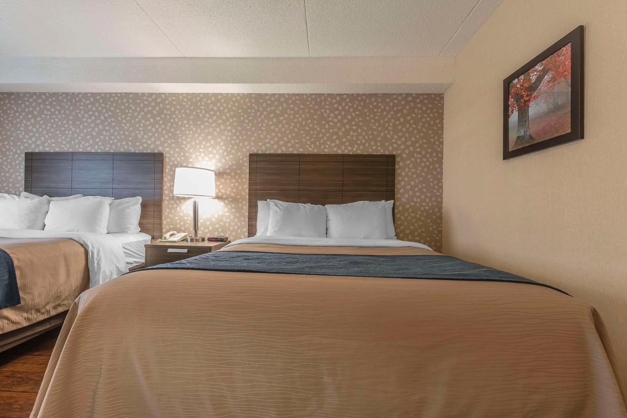 Comfort Inn Леві Екстер'єр фото