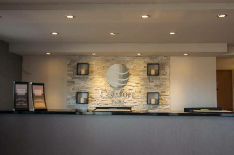 Comfort Inn Леві Екстер'єр фото