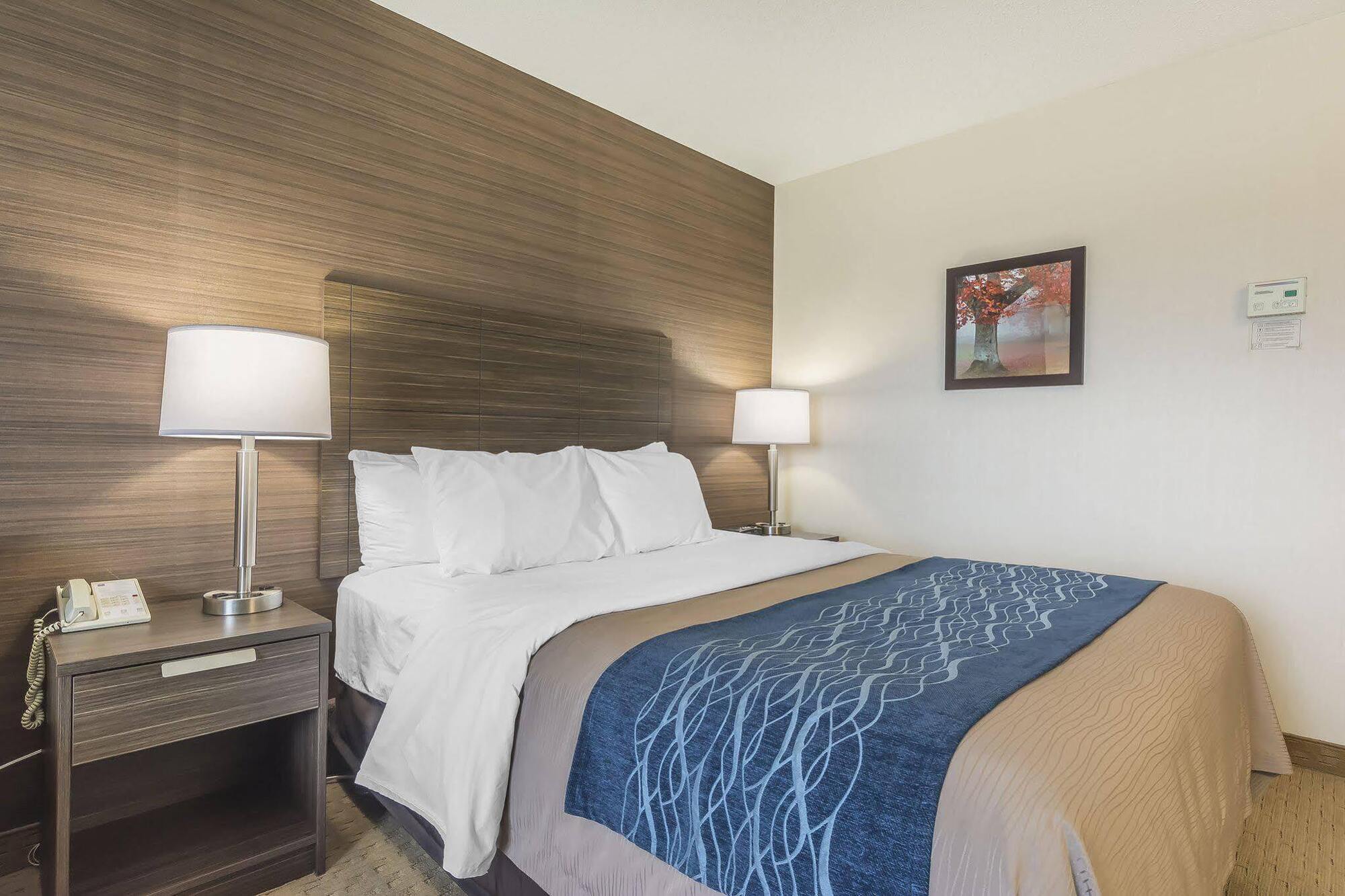 Comfort Inn Леві Екстер'єр фото